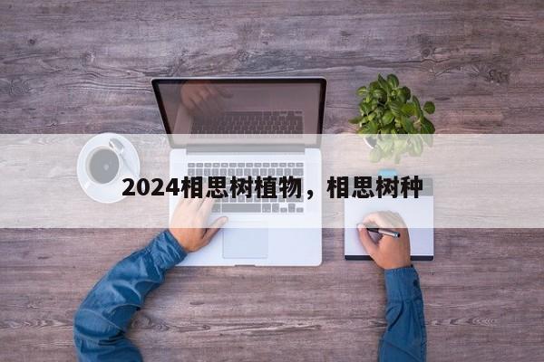 2024相思树植物，相思树种