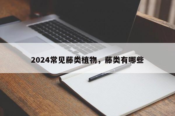 2024常见藤类植物，藤类有哪些