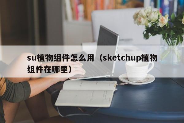 su植物组件怎么用（sketchup植物组件在哪里）