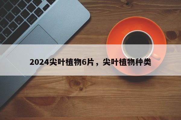 2024尖叶植物6片，尖叶植物种类