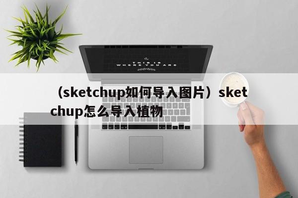 （sketchup如何导入图片）sketchup怎么导入植物