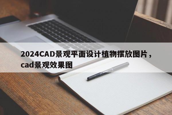 2024CAD景观平面设计植物摆放图片，cad景观效果图