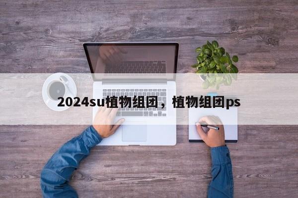 2024su植物组团，植物组团ps