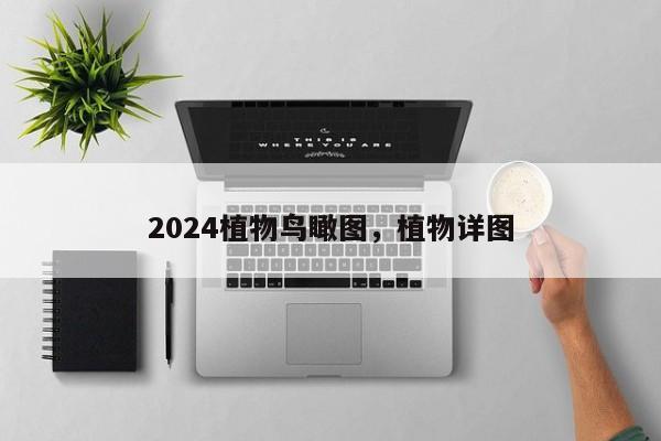 2024植物鸟瞰图，植物详图