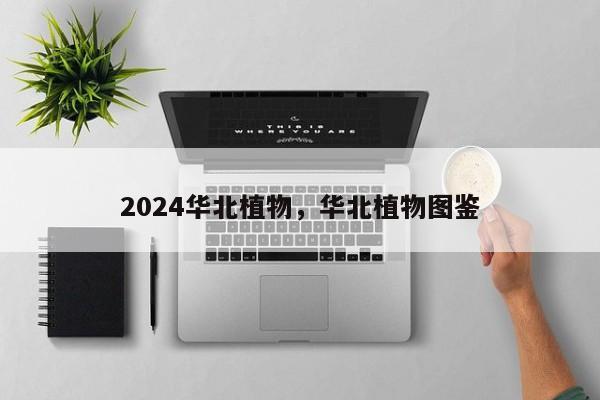 2024华北植物，华北植物图鉴