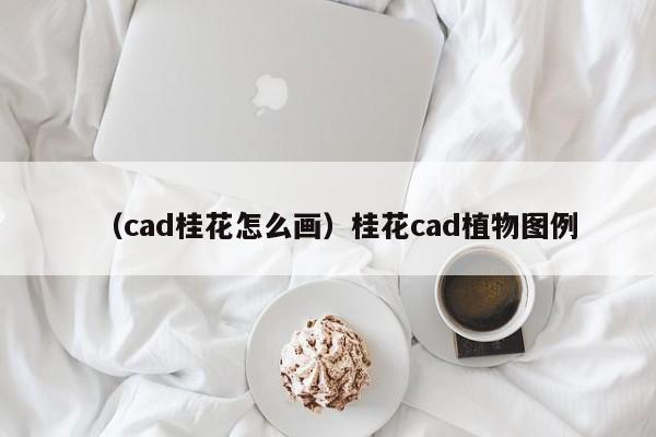 （cad桂花怎么画）桂花cad植物图例