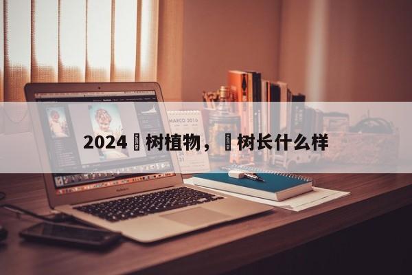 2024櫆树植物，棪树长什么样