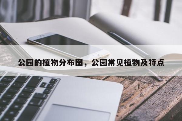 公园的植物分布图，公园常见植物及特点